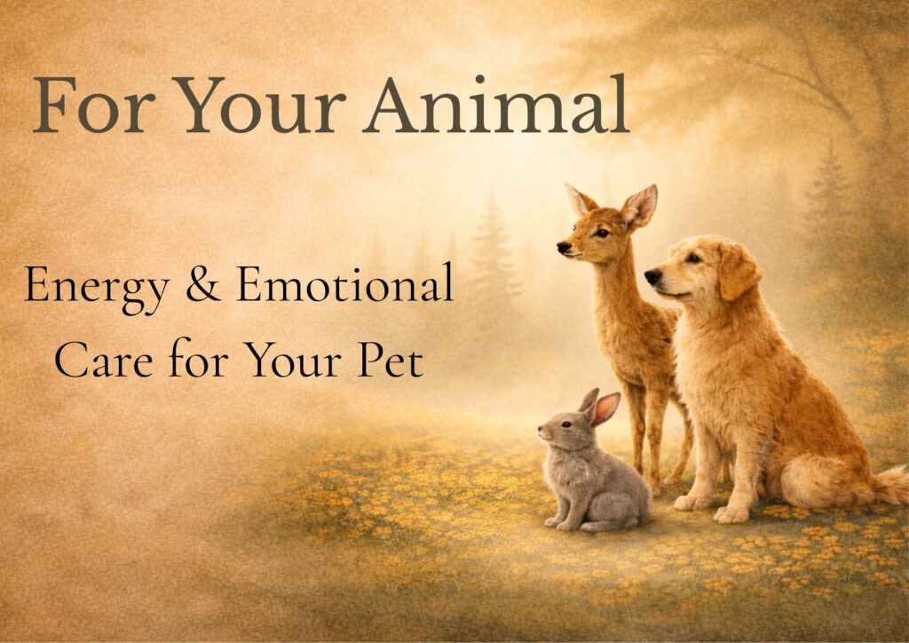 distant energy healing and emotional care for your pets
